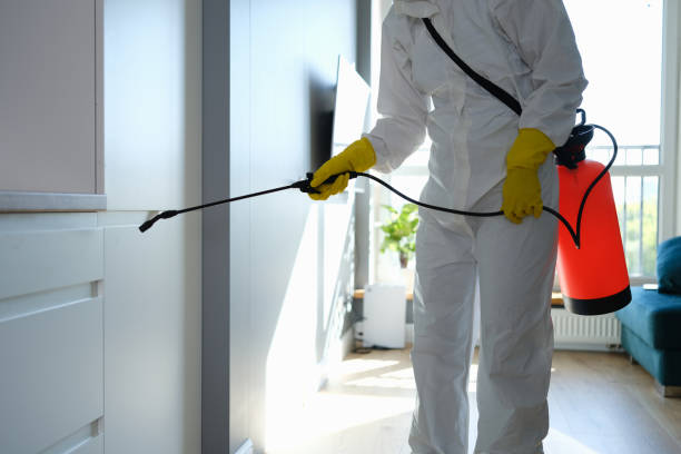 Best Localized Mold Remediation (e.g., coastal areas, humid climates) in Burke, VA